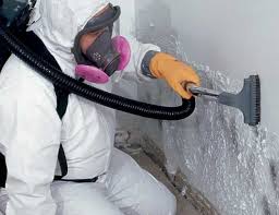  Silsbee, TX Mold Inspection Pros